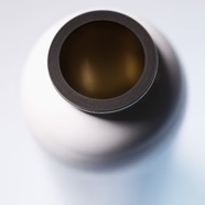 globus_6.jpg