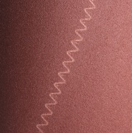 starcke_blatt.jpg